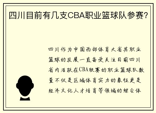 四川目前有几支CBA职业篮球队参赛？