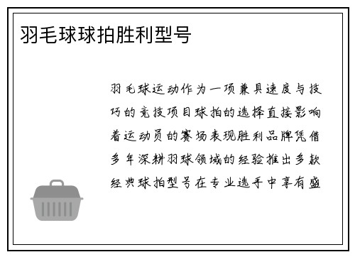 羽毛球球拍胜利型号